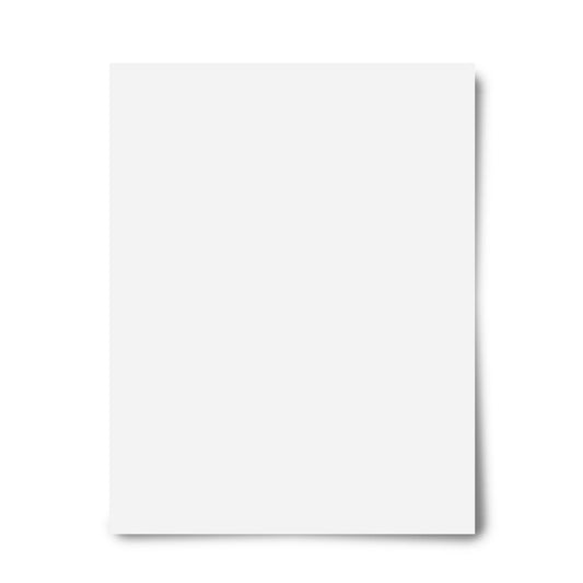 11.7x16.5 Poster Board